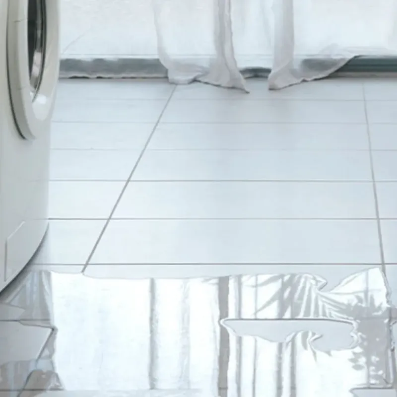 Appliance Leak Cleanup in Goliad, TX