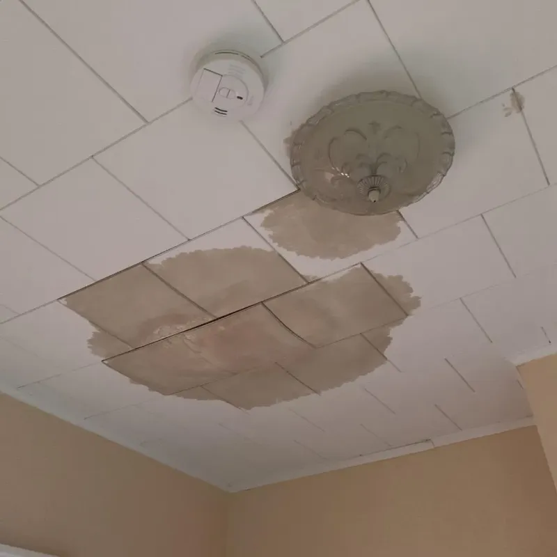 Ceiling Water Damage Repair in Goliad, TX